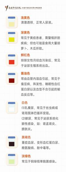 调整大小 微信图片_20230808094042.jpg
