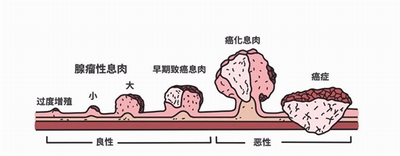 调整大小 微信图片_20230809170443.png